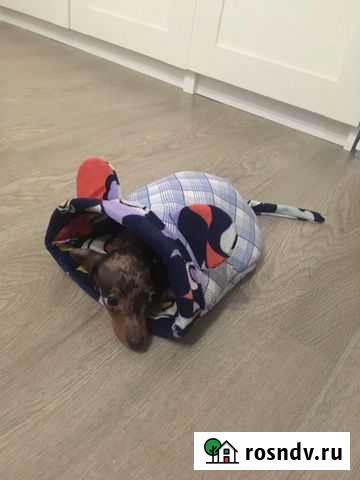 Домик для собак/кошек на заказ Домодедово - изображение 1