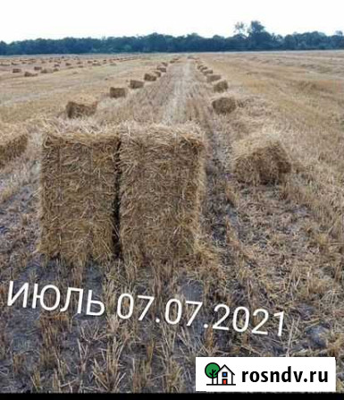 Сено Люцерна, Разнотравье,Солома 2021 Дьяконово - изображение 1