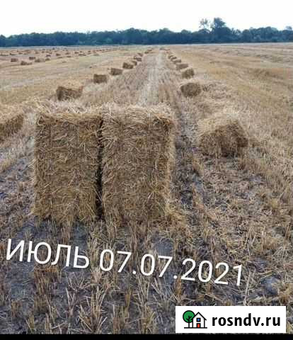 Сено Люцерна, Разнотравье,Солома 2021 Дьяконово - изображение 1