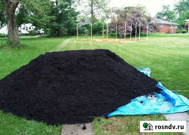 Приму в дар Йошкар-Ола - изображение 1