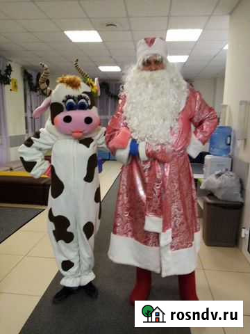 Дед Мороз красавец (с антителами ) Челябинск - изображение 1