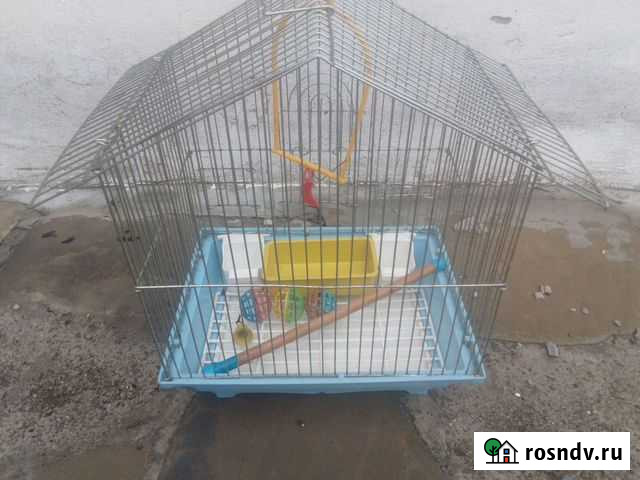 Клетка Усть-Донецкий - изображение 1