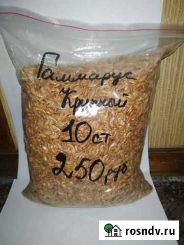 Корм Гаммарус Домодедово - изображение 1