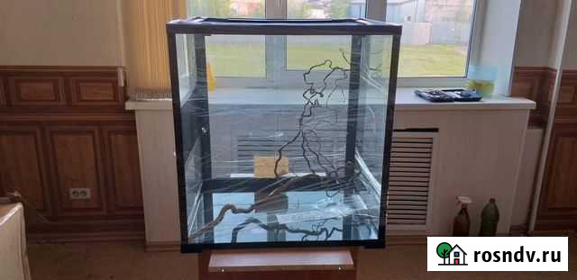 Террариум Череповец - изображение 1