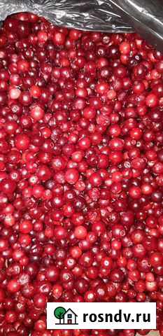 Ягода брусника Нижнеудинск - изображение 1