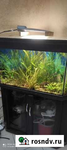 Аквариум Александров - изображение 1