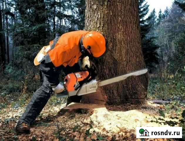 Спил деревьев, расчистка участков, демонтаж зданий Смоленск - изображение 1