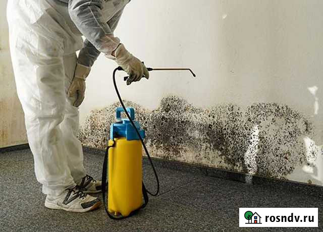 Уничтожение плесени, стерилизация воздуха Пермь - изображение 1