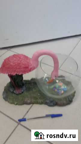 Аквариум Самара - изображение 1