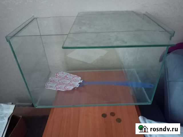 Аквариум Абакан - изображение 1