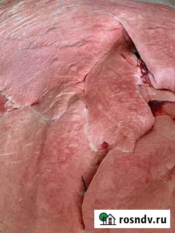 Мясо для собак говядина Старый Оскол - изображение 1