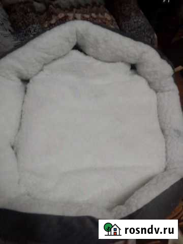 Кровать для собак и кошек Бердск - изображение 1