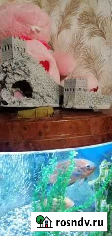 Ключница Большие Вяземы - изображение 1