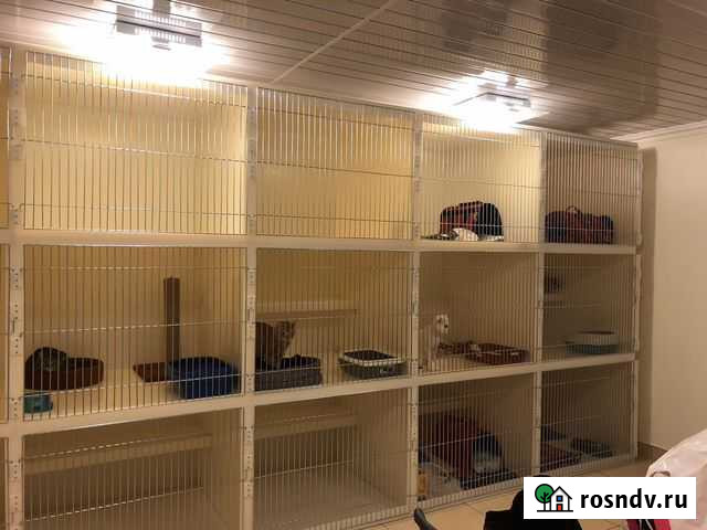 Клетки номера для животных под заказ Москва - изображение 1