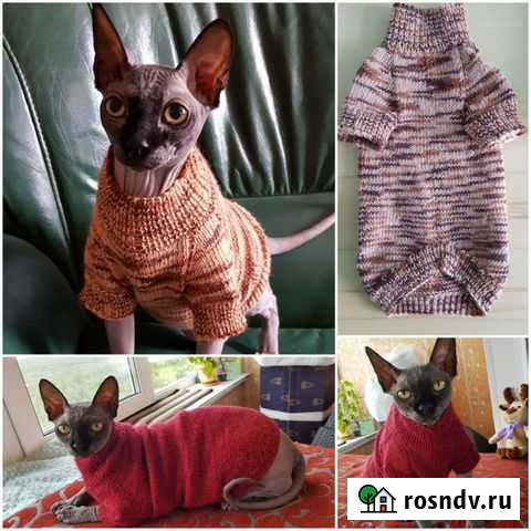 Тёплая одежда для сфинкса кошки питомца. Новая Сыктывкар - изображение 1
