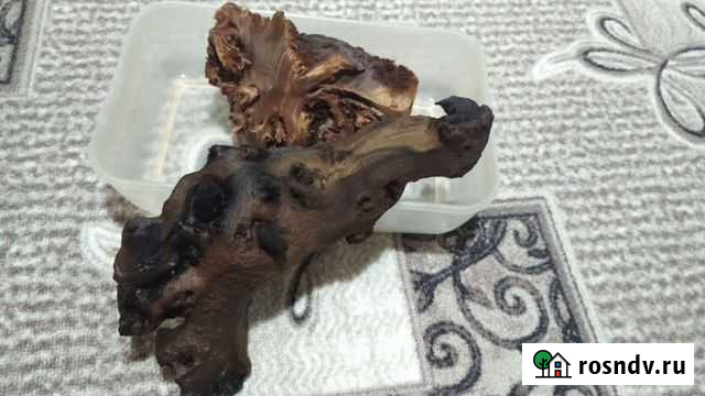 Декорация для аквариума коряги Мопани Ковров - изображение 1