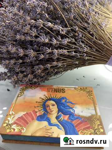 Палетка Lime Crime Venus Тула - изображение 1