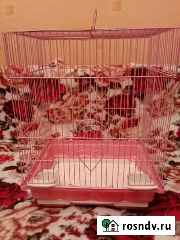 Клетка Набережные Челны - изображение 1