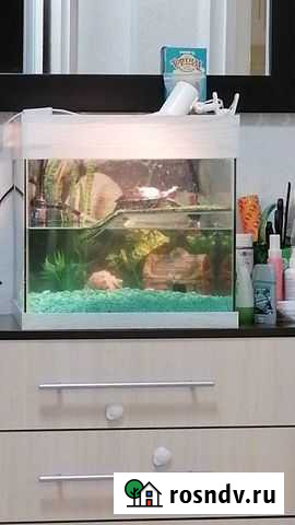 Аквариум Новокузнецк - изображение 1