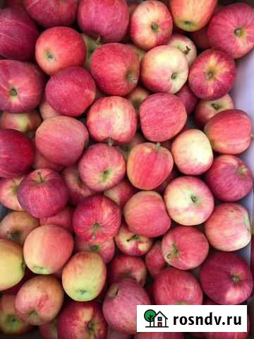 Яблоки оптом сорт Гала Тимашевск - изображение 1