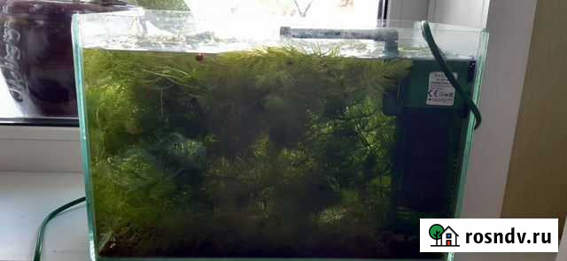 Украшение для аквариума Кемерово - изображение 1