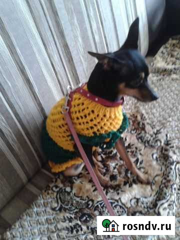 Платье ручной работы вязаное одежда для собак Ачинск - изображение 1