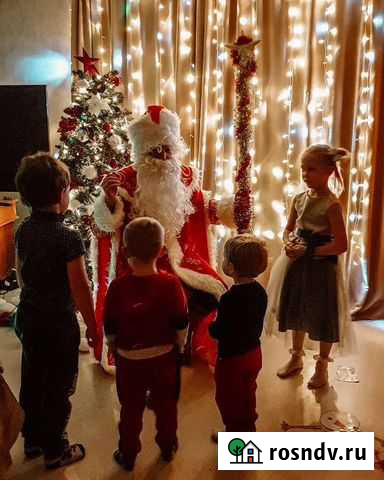 Дед Мороз и Снегурочка Нижний Новгород - изображение 1