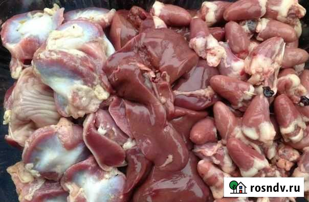 Печень, желудки гусей Стерлитамак - изображение 1