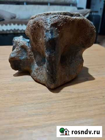 Окаменевшая кость неизвестного животного Белореченск - изображение 1