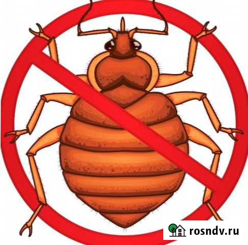 Уничтожение клещей тараканов, клопов, кротов Киров - изображение 1