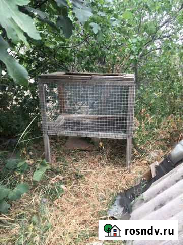 Клетка Махачкала - изображение 1