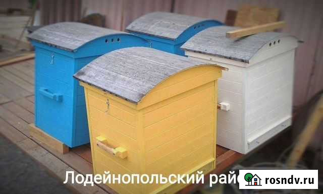 Улей ульи Лодейное Поле - изображение 1
