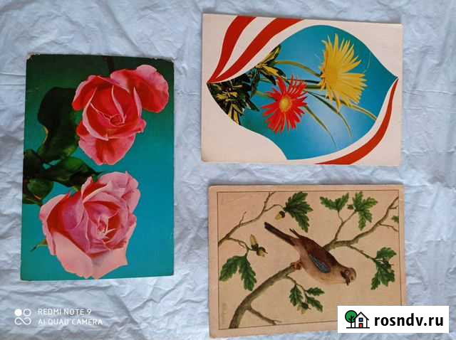 Открытки времени СССР Кирсанов - изображение 1