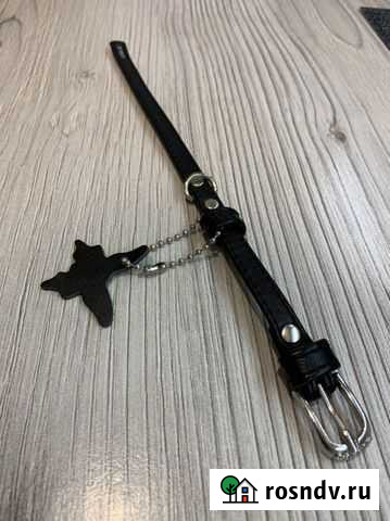 Ошейник Североморск - изображение 1