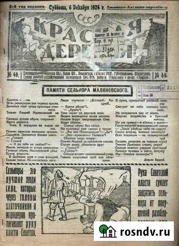 Красная деревня. Журнал Бюро цк. № 49,1924 г Тамбов - изображение 1