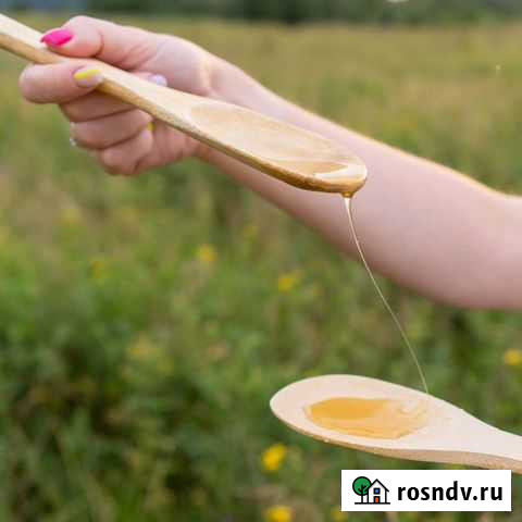 Мёд, свечи и продукты пчеловодства со своей пасеки Электросталь - изображение 1