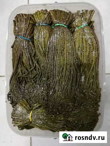 Папоротник солёный гост Комсомольск-на-Амуре - изображение 1