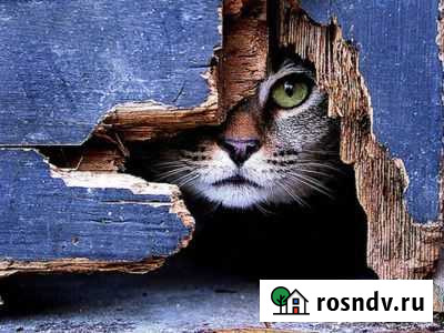 Видеонаблюдение - все под контролем Абадзехская - изображение 1