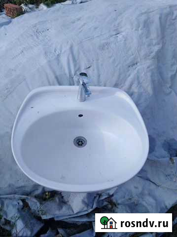 Раковина тюльпан Ясенская - изображение 1