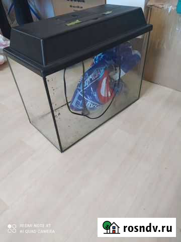 Аквариум Магадан - изображение 1