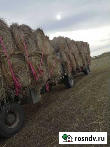 Сено Малые Дербеты - изображение 1