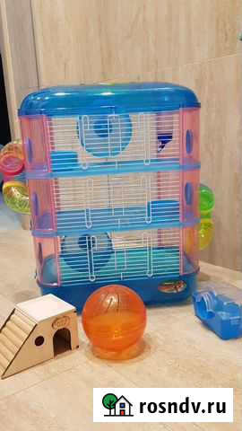Клетка для хомяка бу Губкин - изображение 1