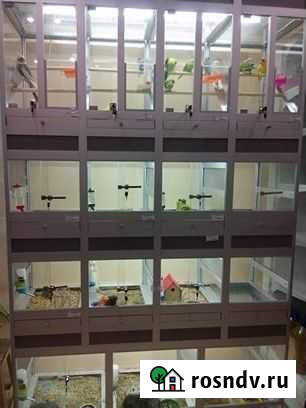 Продам сеть зоомагазинов Москва - изображение 1