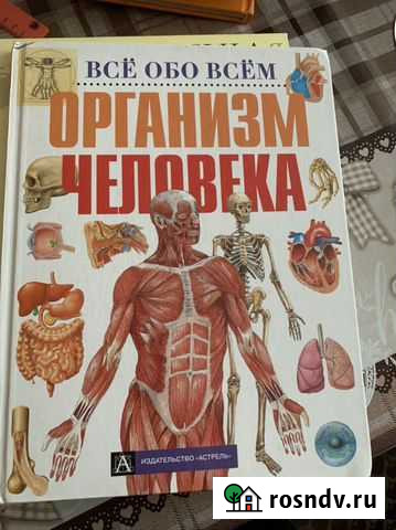 Энциклопедия человека Салават - изображение 1