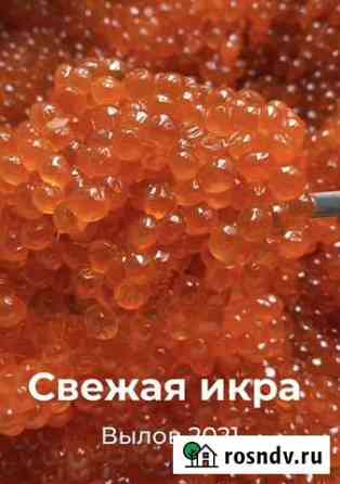 Красная икра горбуши Одинцово