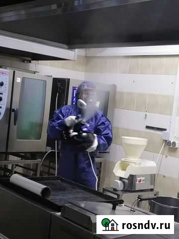 Дезинсекция от клопов тараканов муравьёв блох ос д Володарск - изображение 1