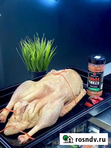 Куры, гуси, утки, цыплята-корнишоны, перепела Октябрьский - изображение 1