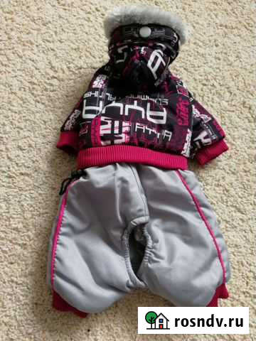 Одежда для собак Ессентукская - изображение 1