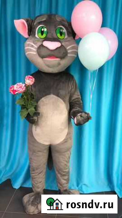 Костюм ростовой куклы, кот том Петрозаводск - изображение 1