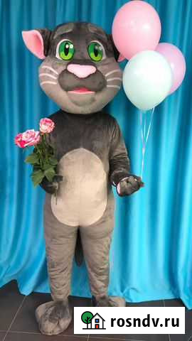 Костюм ростовой куклы, кот том Петрозаводск - изображение 1